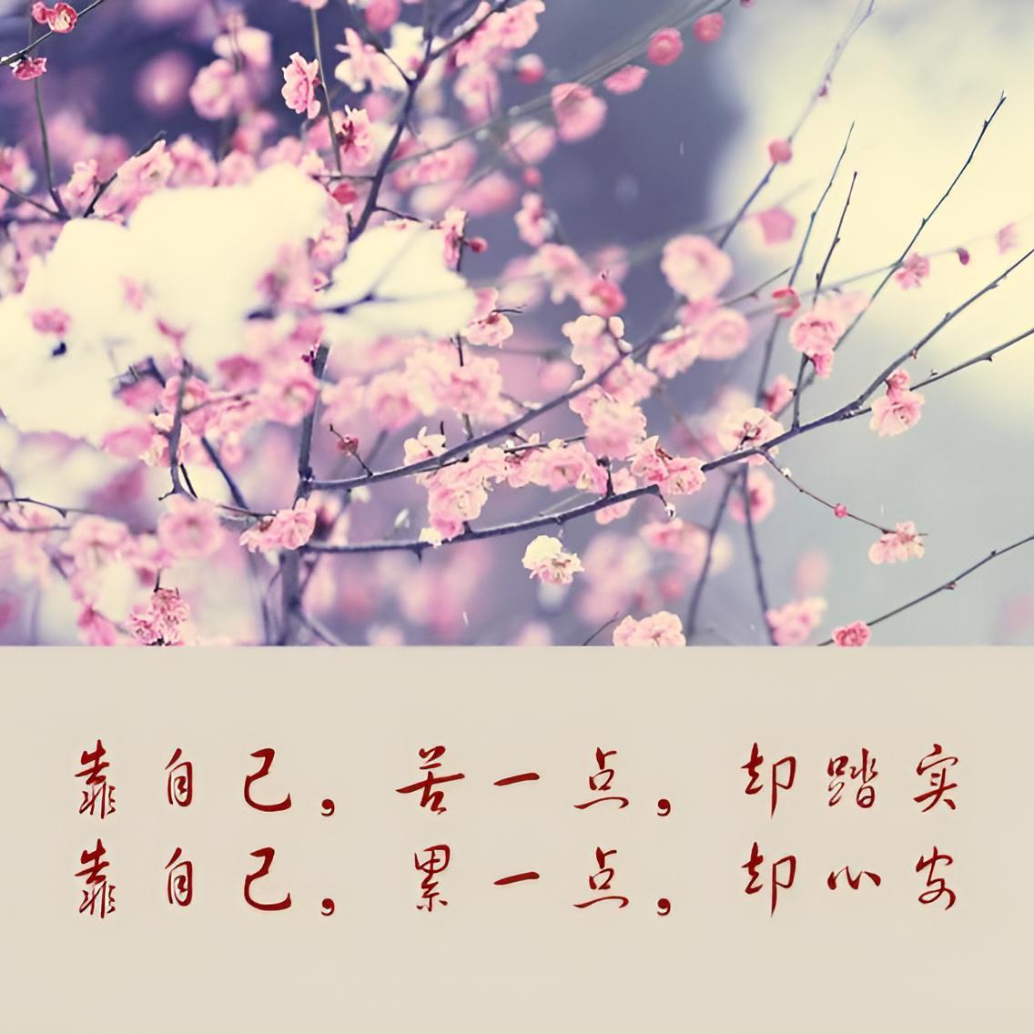 开心之歌封面
