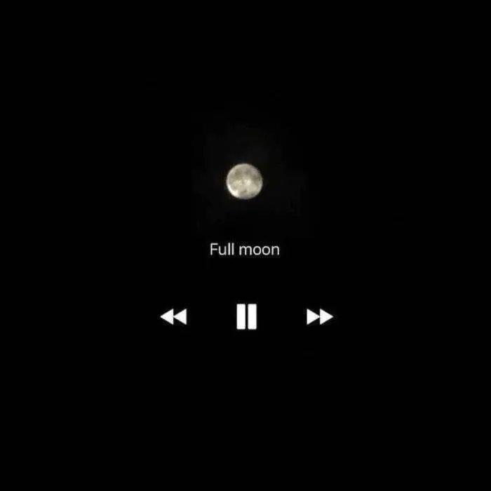 My European and American style everyday