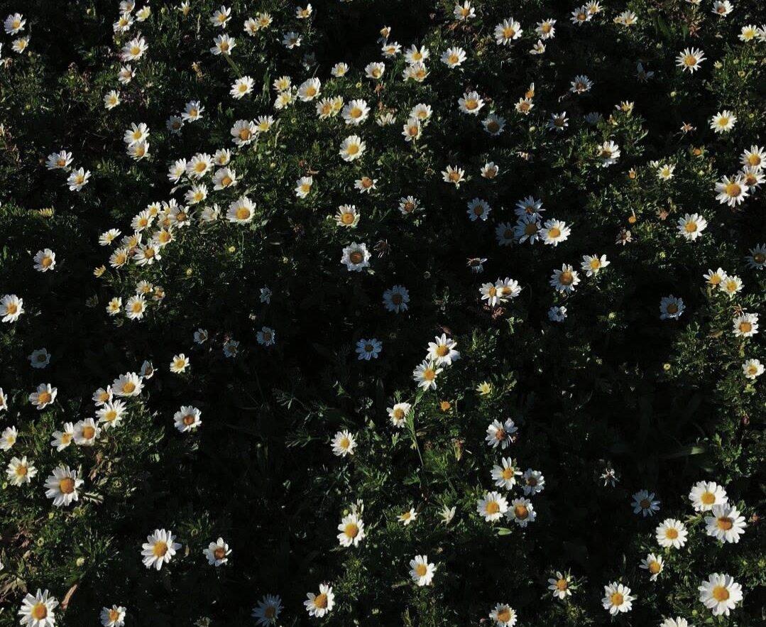 November_59