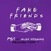 PS1 - Fake Friends (Co-De & Karl G Remix)