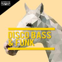 Disco Bass & Funk