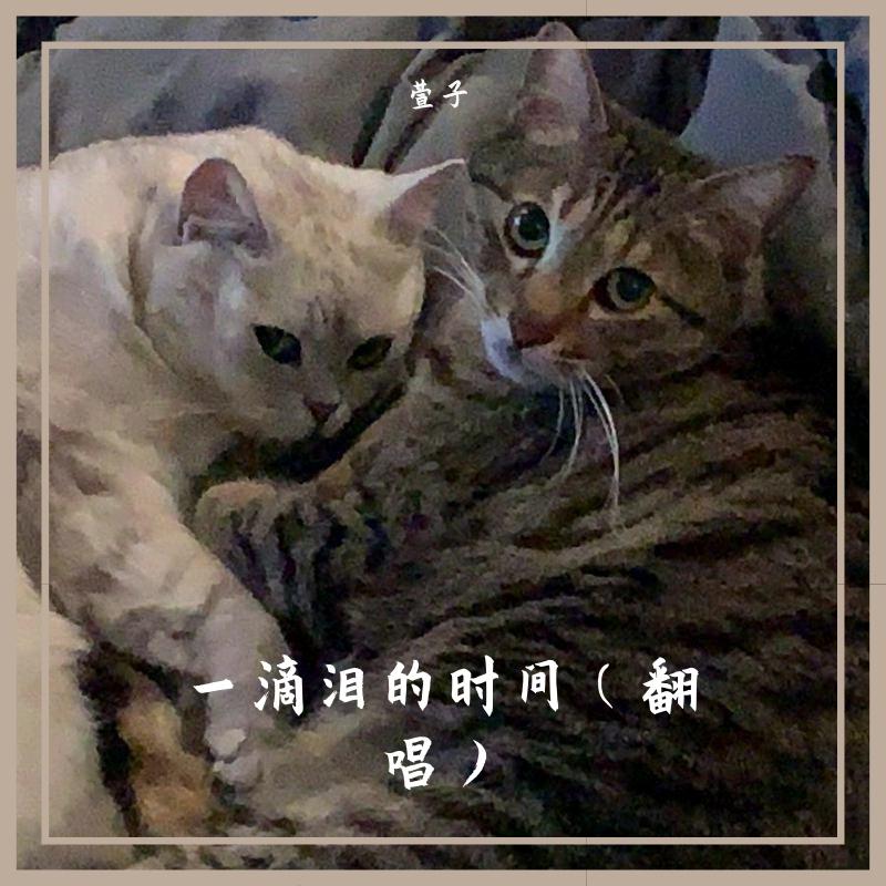 给你一滴泪的时间