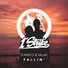 D'Amico & Valax - Fallin'