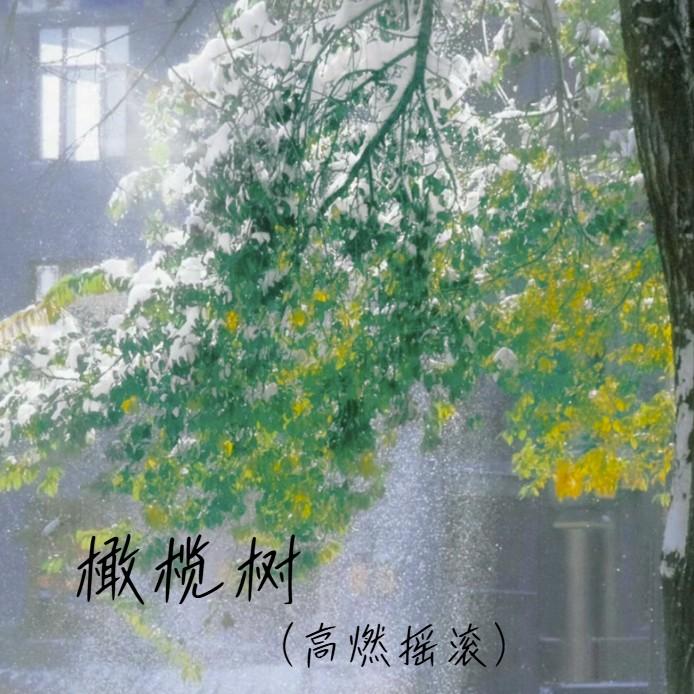 橄榄树（高燃摇滚）（不要问我从哪里来）封面