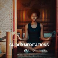 Guided Meditations (Vol. 5)