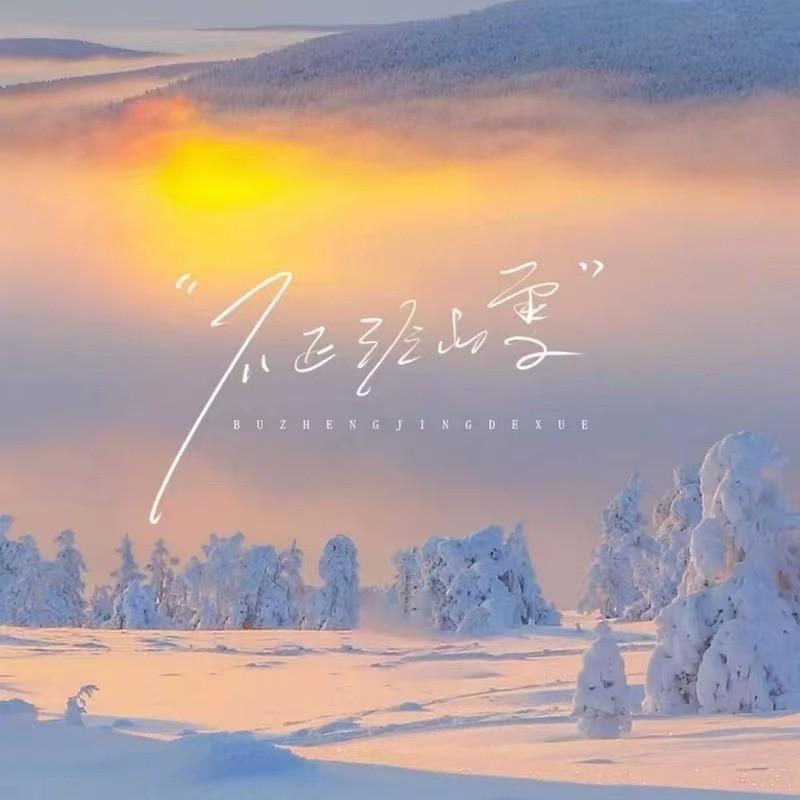 不正经的雪 (DJ沈乐版伴奏) - 承桓、潘成（皮卡潘）、一只白羊、耳朵便利店、窝窝、袁小葳、卢润泽、向思思、懂不董、华语群星封面