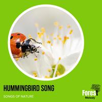 Hummingbird Song - Songs of Nature