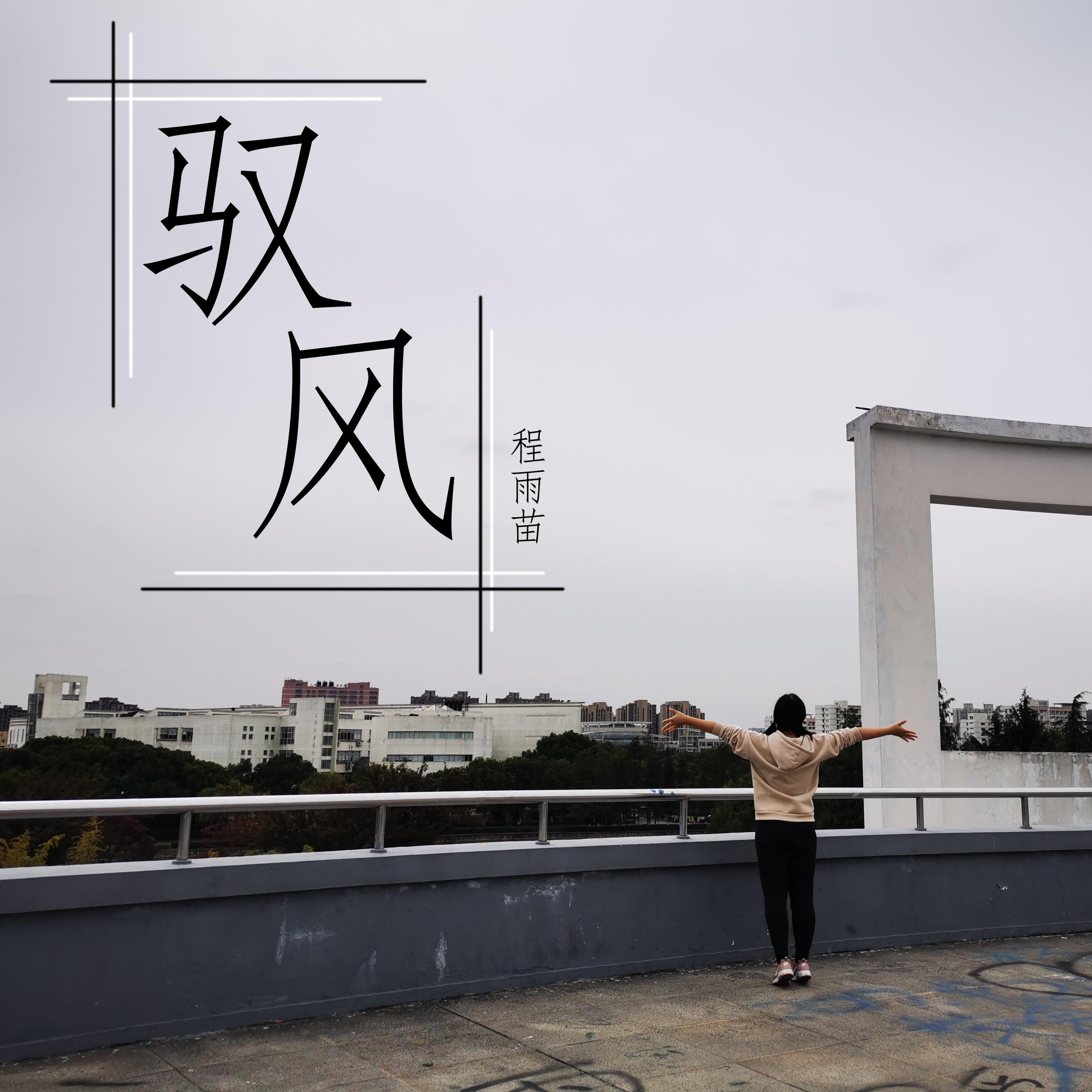 驭风（伴奏）封面
