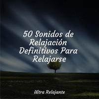 50 Sonidos de Relajación Definitivos Para Relajarse