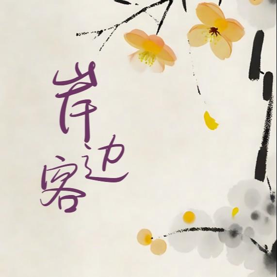 岸边客 (DJ版)封面