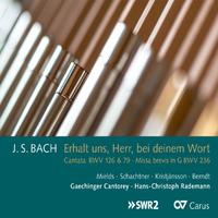 Johann Sebastian Bach: Erhalt uns, Herr, bei deinem Wort