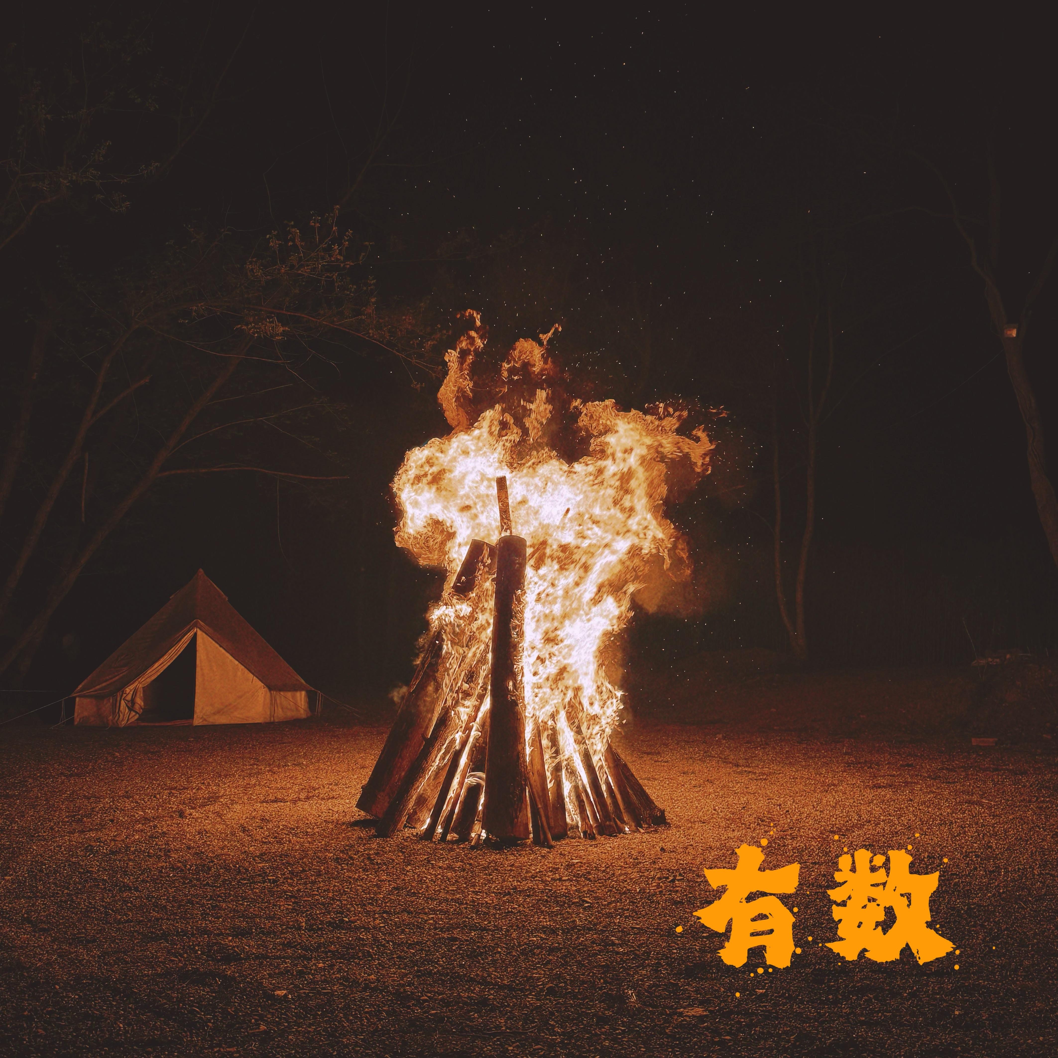 有数_宋捷_有数 | 在线播放_有数歌词_有数下载 | 网易云音乐