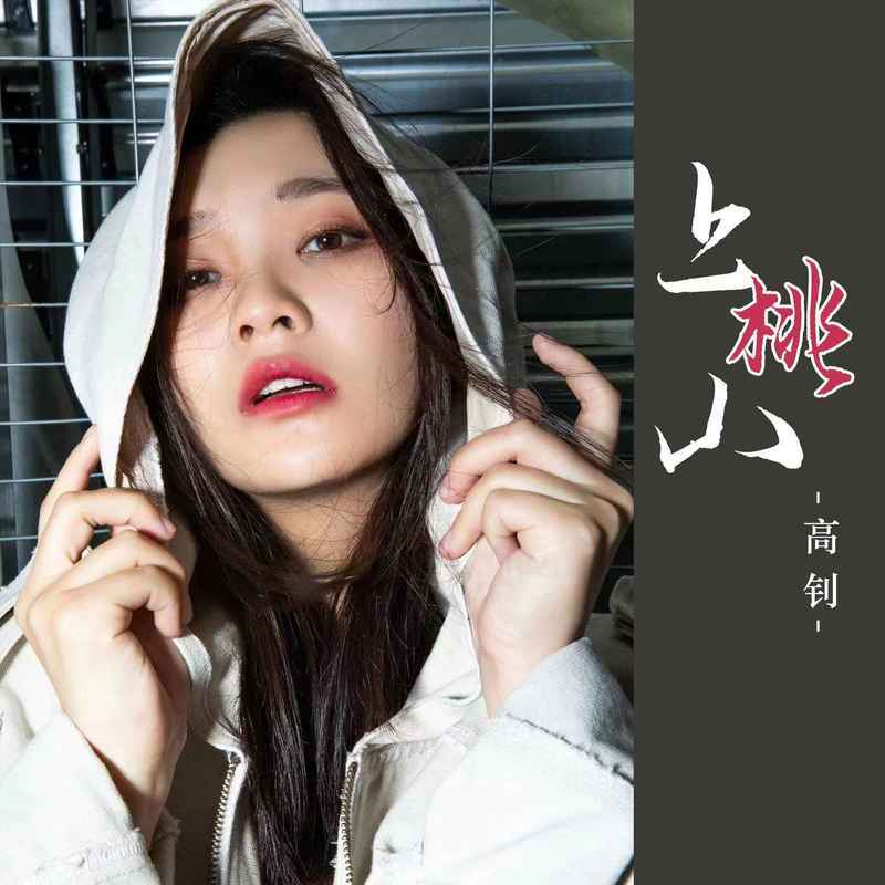 上桃山 (DJ默涵版伴奏)封面