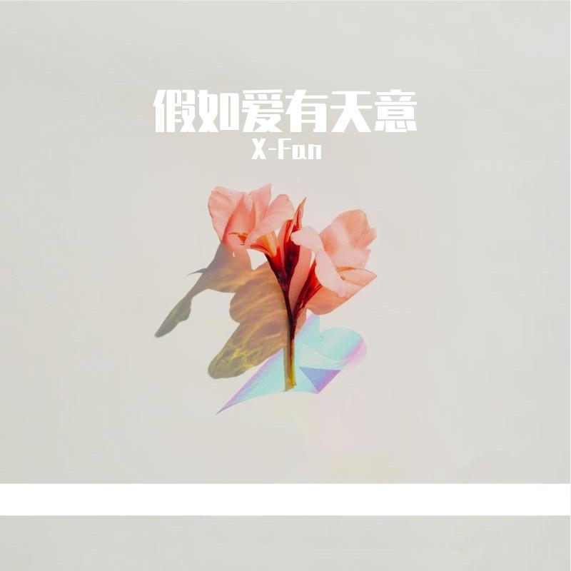 我想念封面