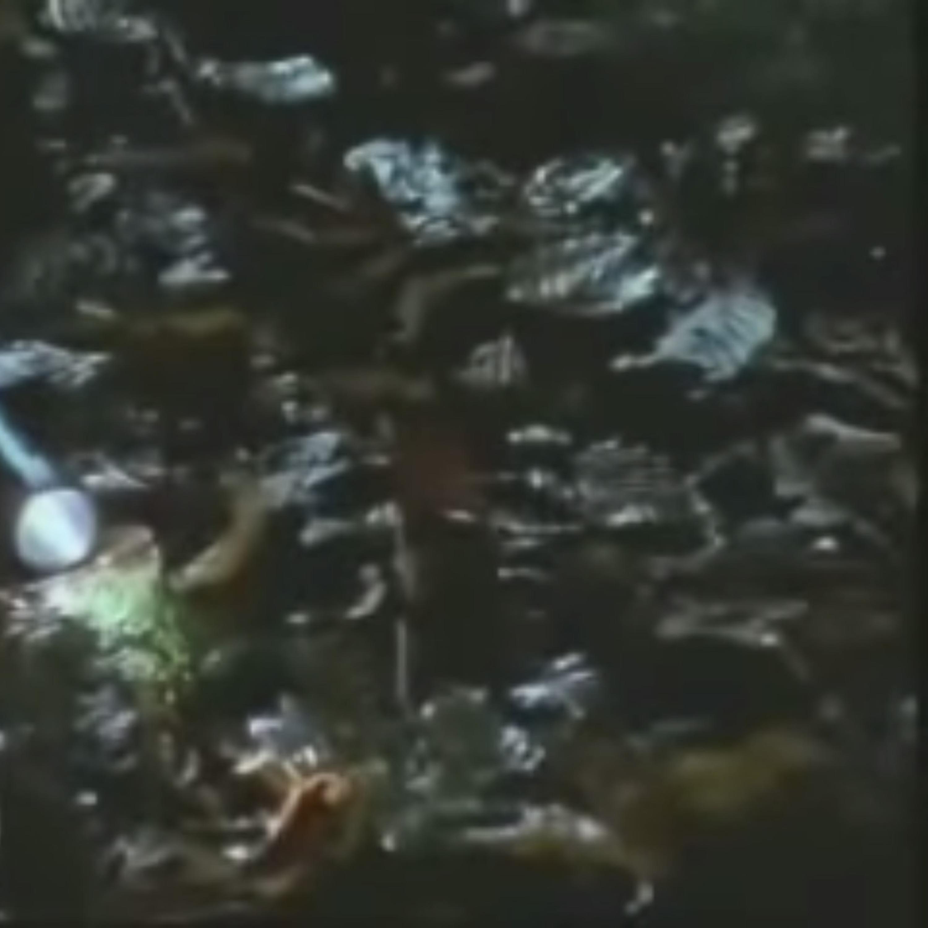 don't be scared, it's me