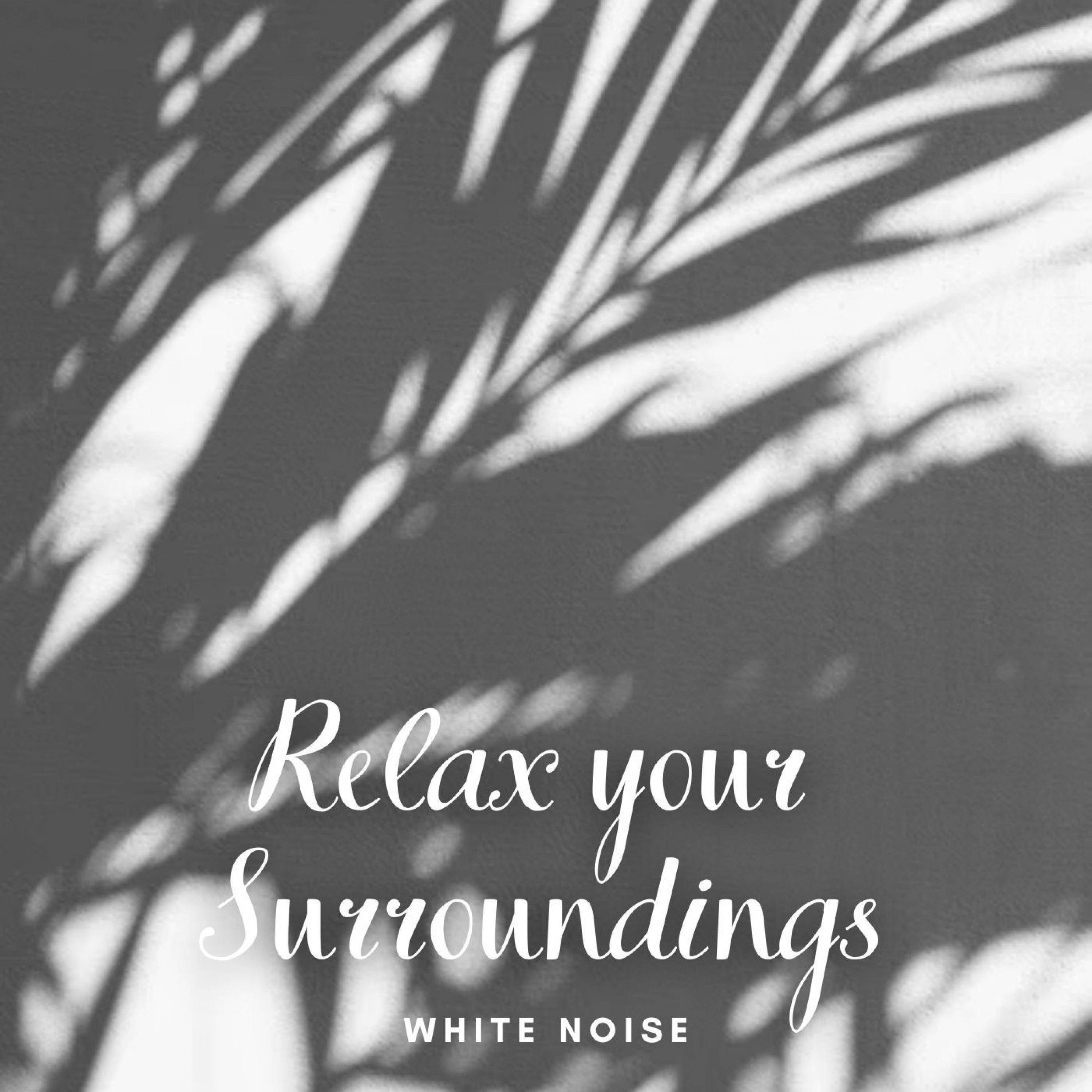 White Noise Meditation