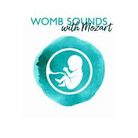 Womb Sounds with Mozart (Pregnancy Music for Pregnant Mothers and Babies)