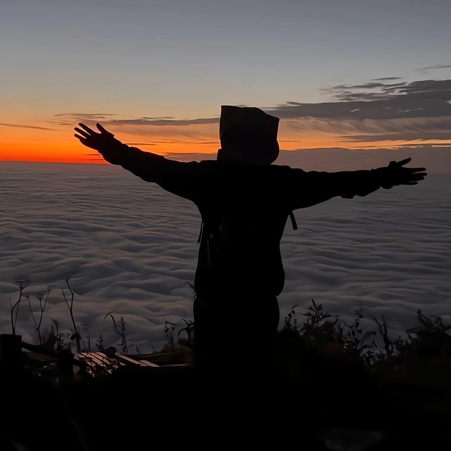 2025年最好听的歌单掺杂着老歌