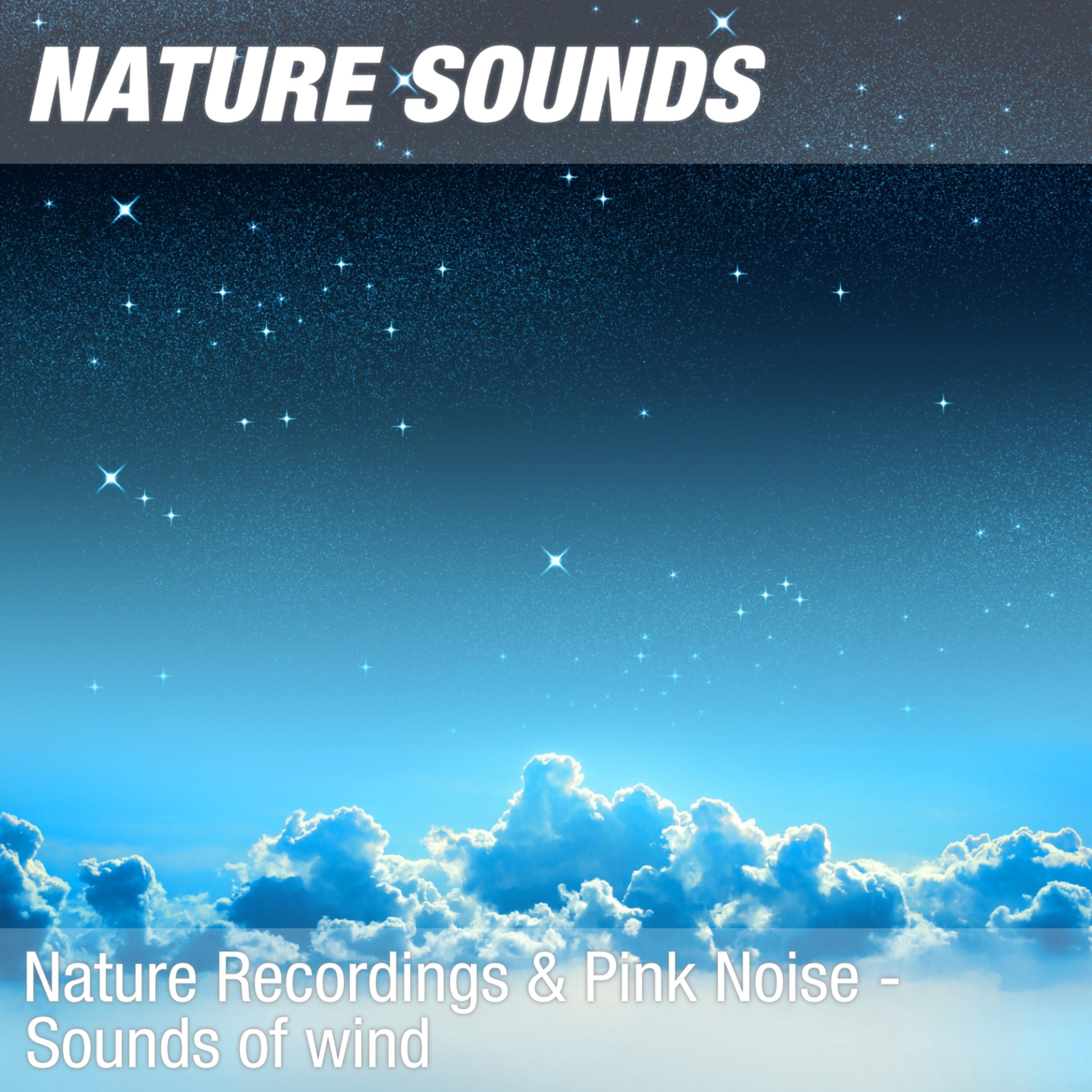 Winter Wind Relaxing Nature Sounds For Sleep Nature Sounds for Sleeping & Calming the Mind (Planet wind noise) 05
