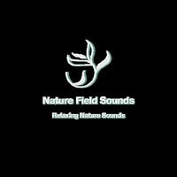 Nature Field Sounds