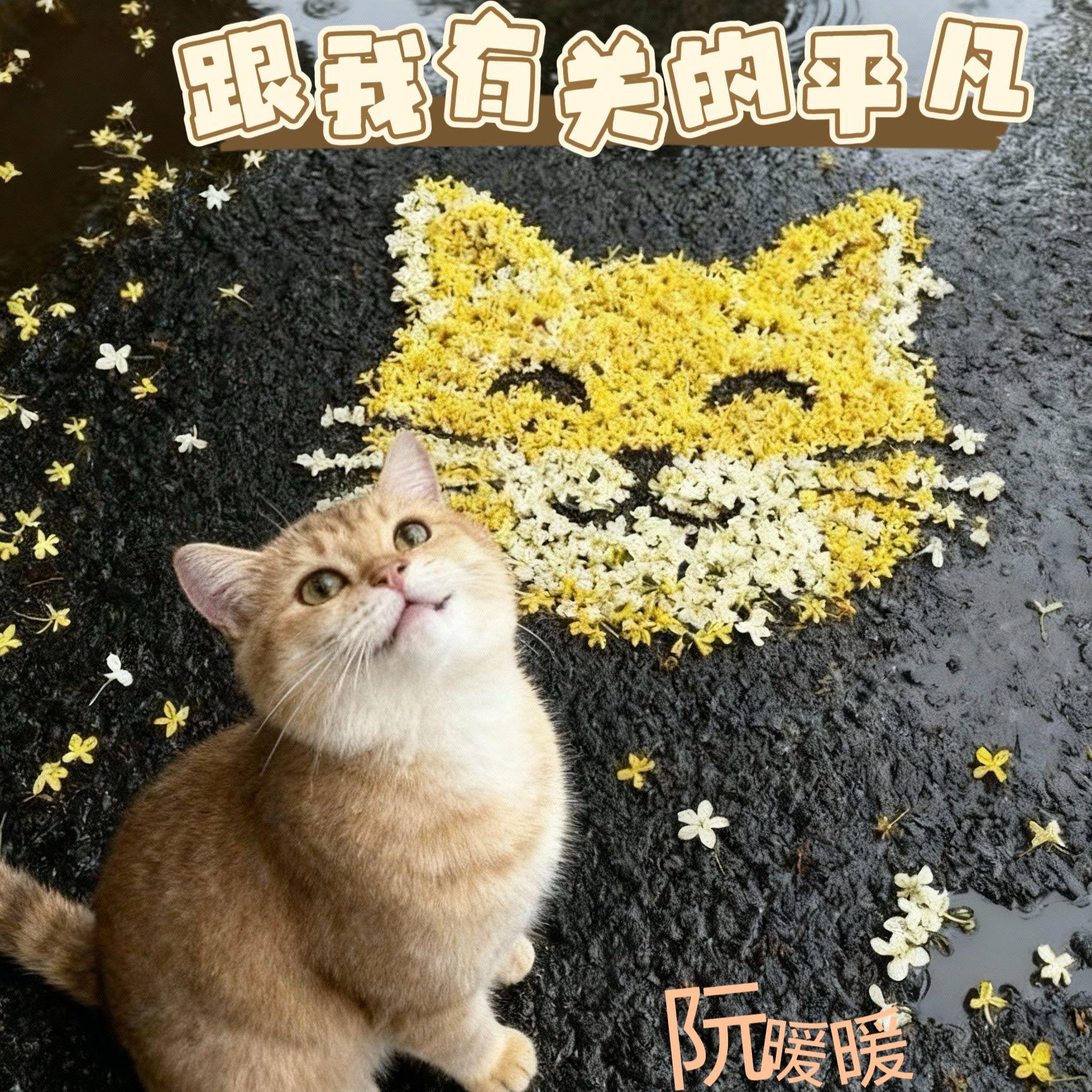 跟我有关的平凡