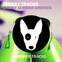 Cheeky Summer Grooves