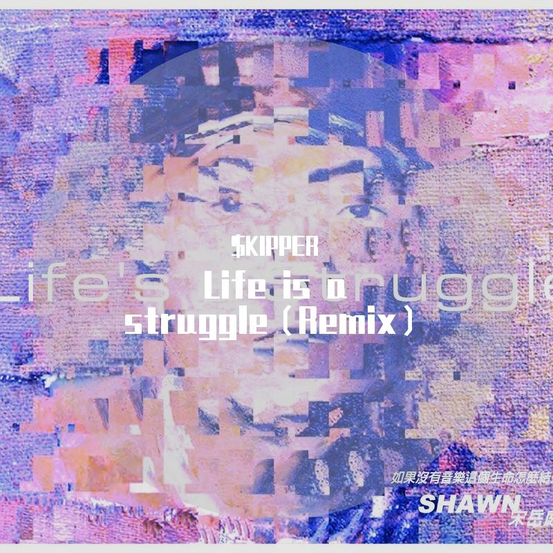 宋岳庭-Life is a struggle （Remix）（B.M.I.C. / skipper remix）