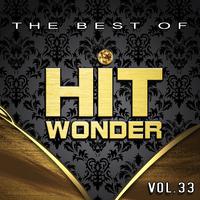 Hit Wonder: The Best Of, Vol. 33