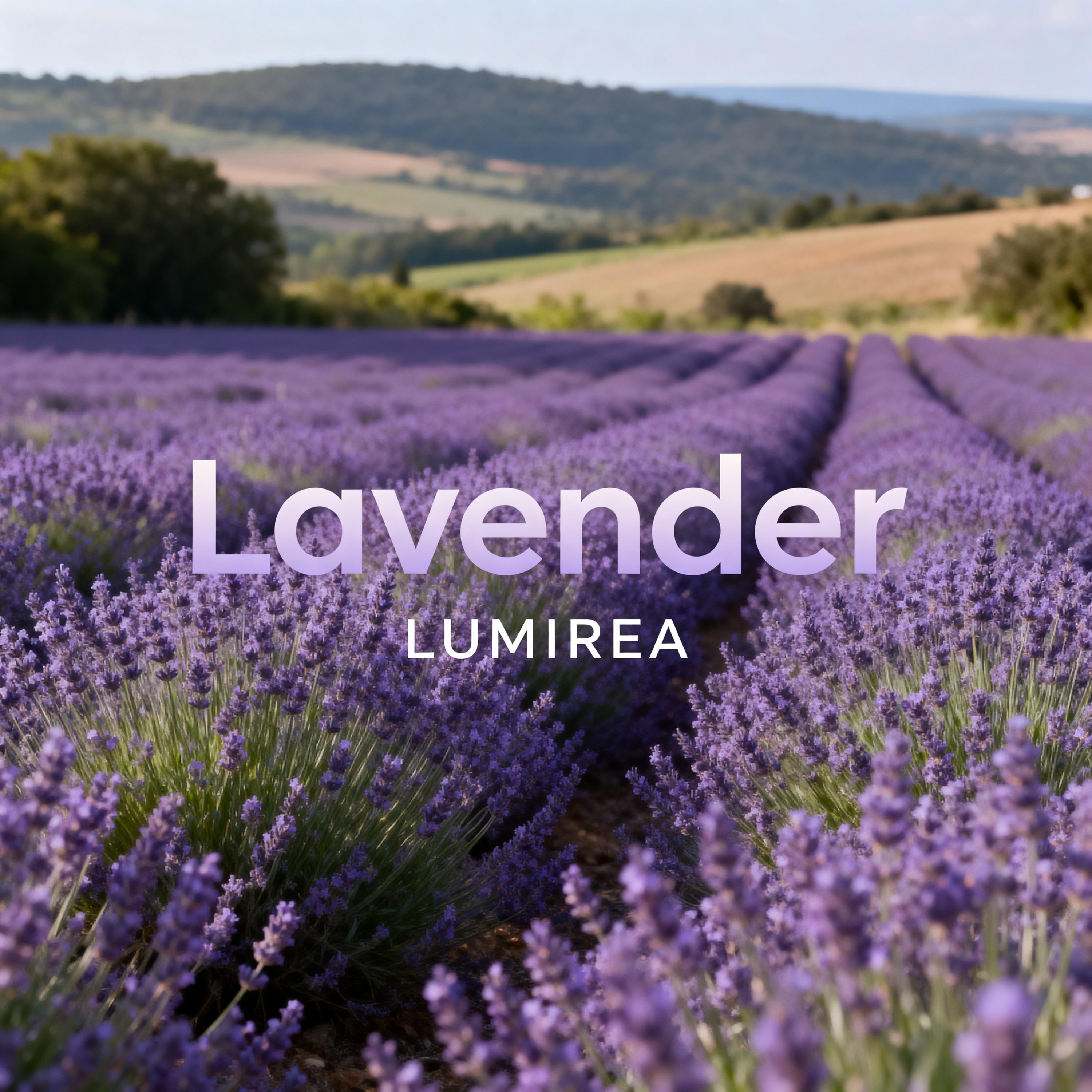 Lavender
