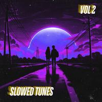Slowed Tunes, Vol. 2