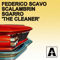 The Cleaner