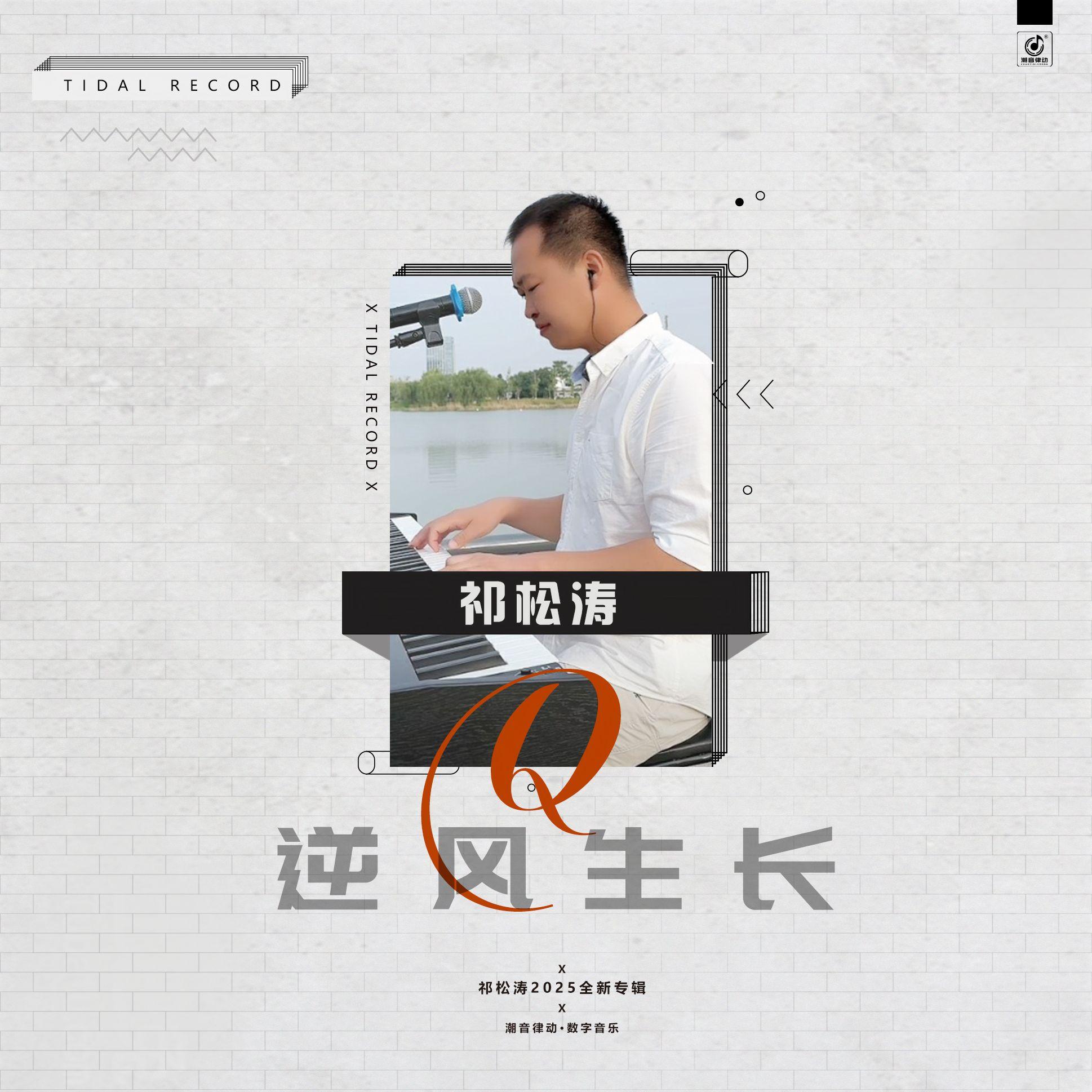傻子才悲伤封面