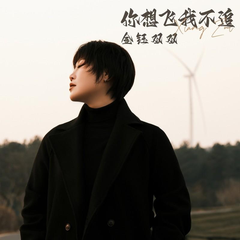 你想飞我不追(DJ版)封面