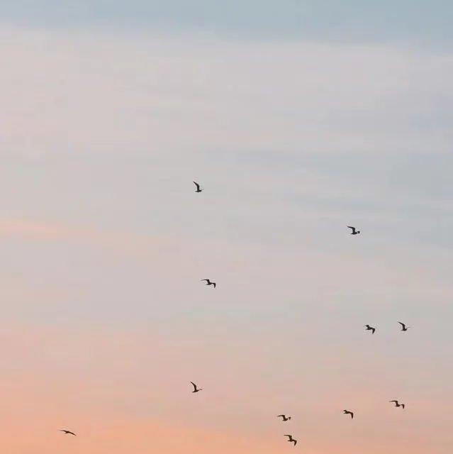 「Jaron」飄渺虛茫