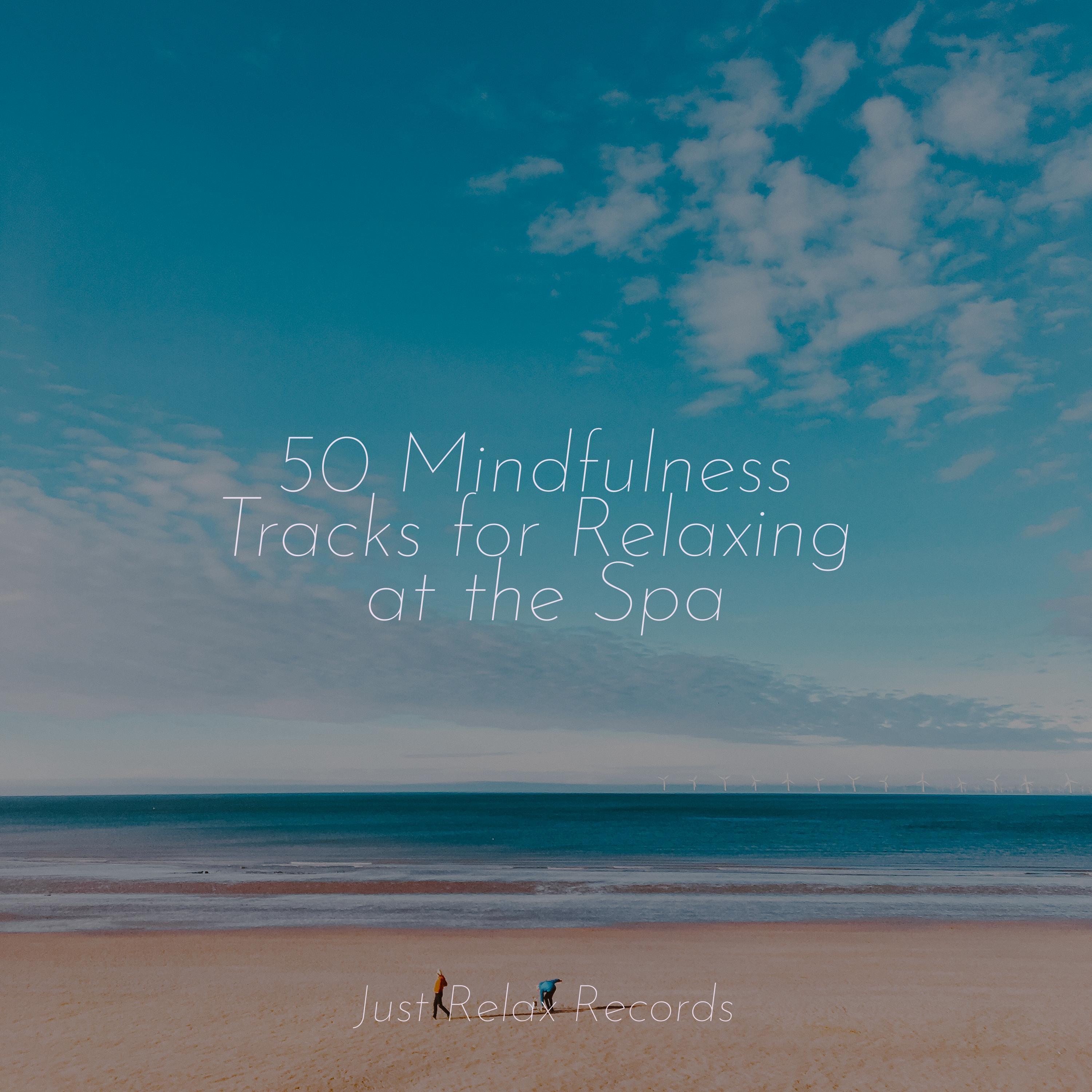 50 Mindfulness Tracks for Relaxing at the Spa - Instrumental - 专辑 - 网易云音乐