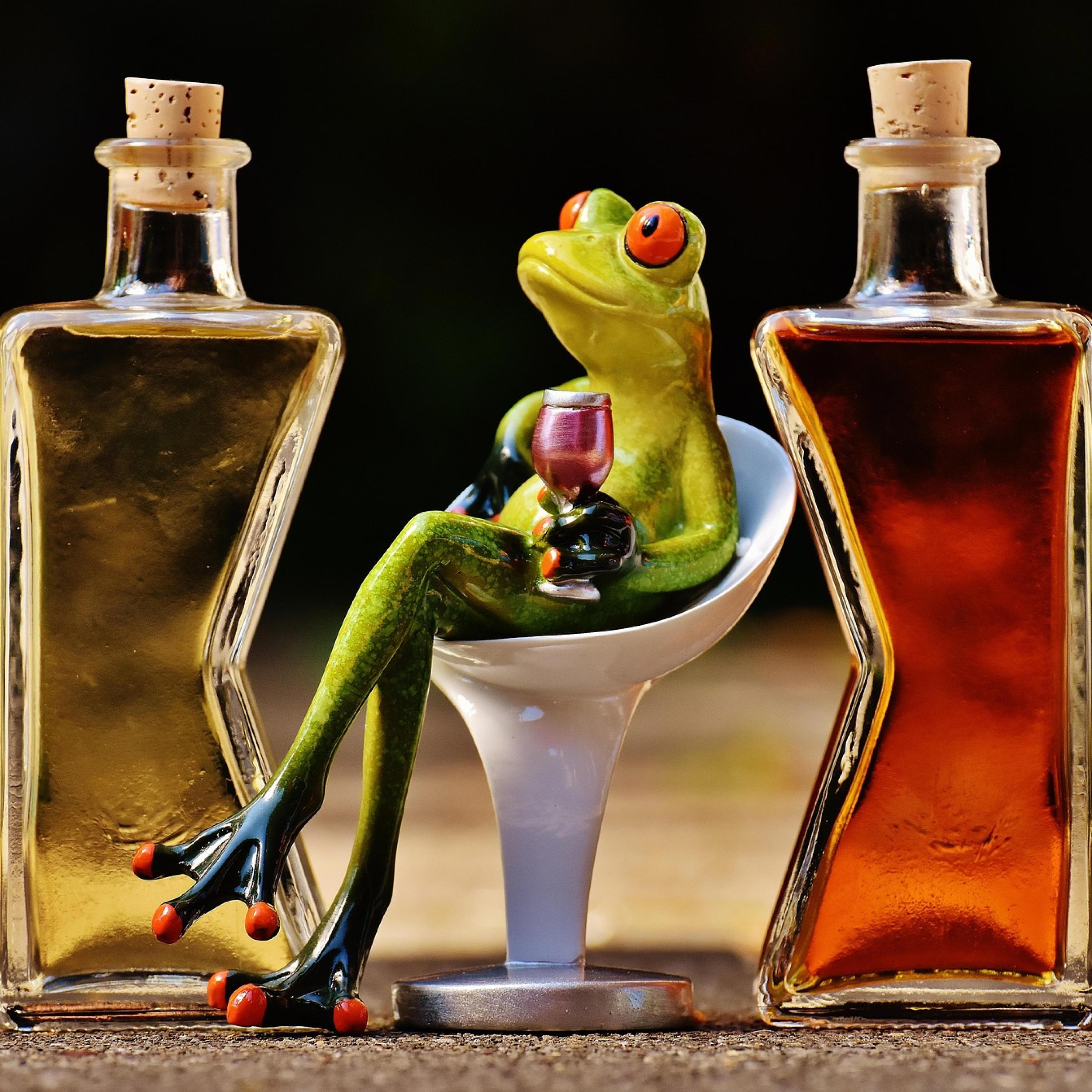 Plastic Bags of Dreams