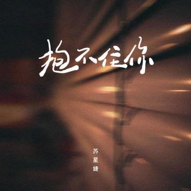 抱不住你 (DJAh版)封面