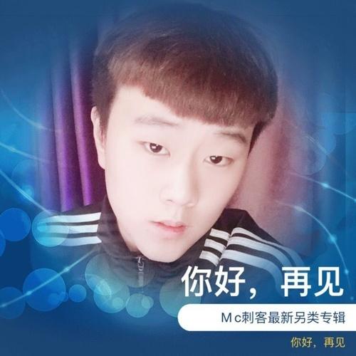 你好，再见封面
