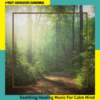 Soothing Healing Music For Calm Mind