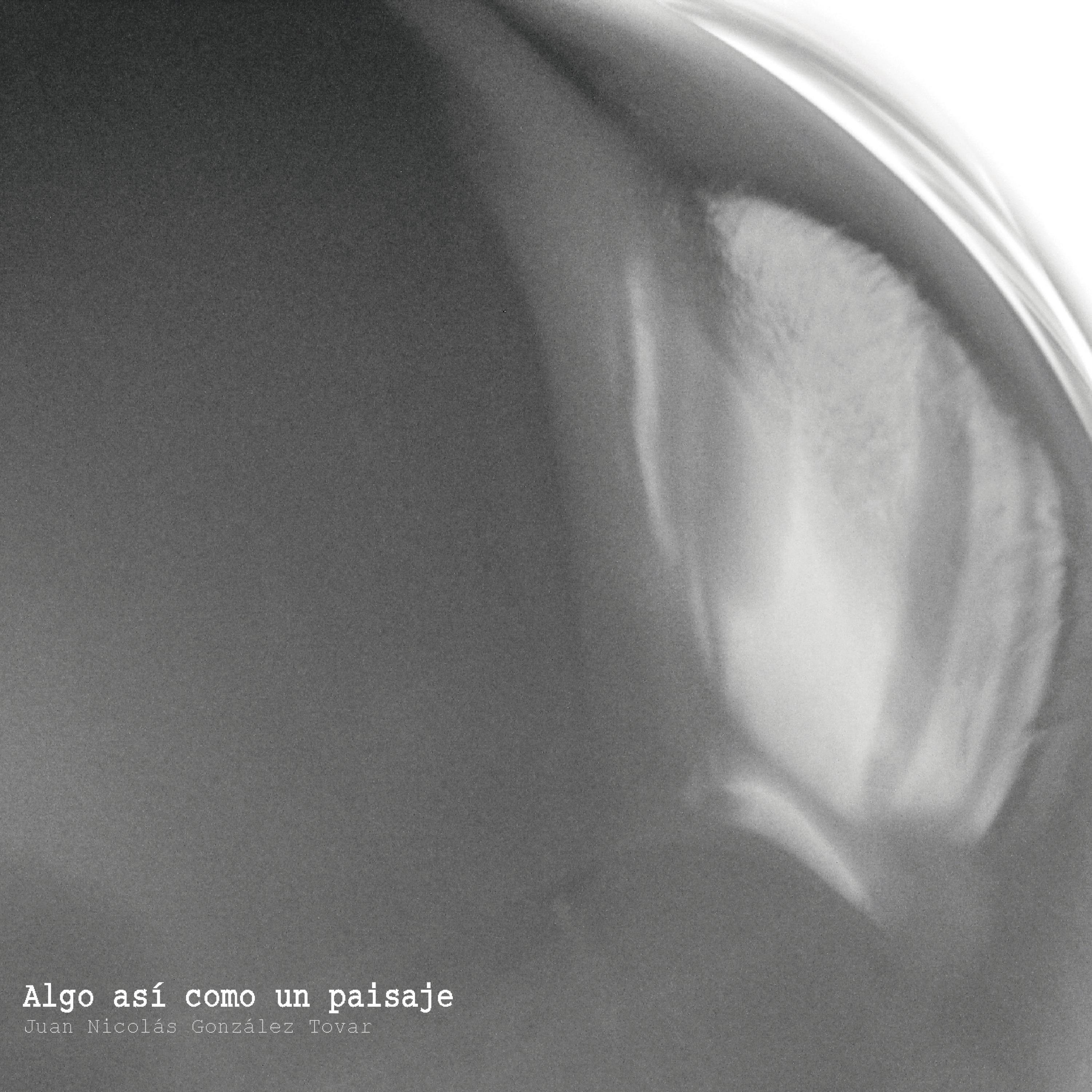 Me Parezco a un Hombre Que Llevaba Consigo un Ladrillo para Mostrarle al Mundo Cómo Era Su Casa