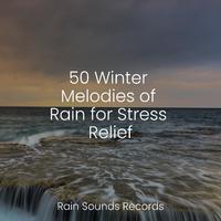 50 Winter Melodies of Rain for Stress Relief