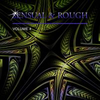 Sensual & Rough, Vol. 4