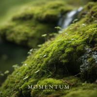 Momentum