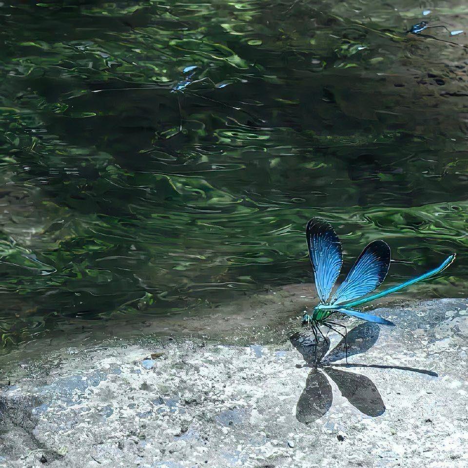 你知道我最害怕一个人天黑