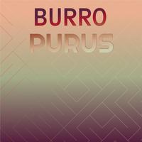 Burro Purus