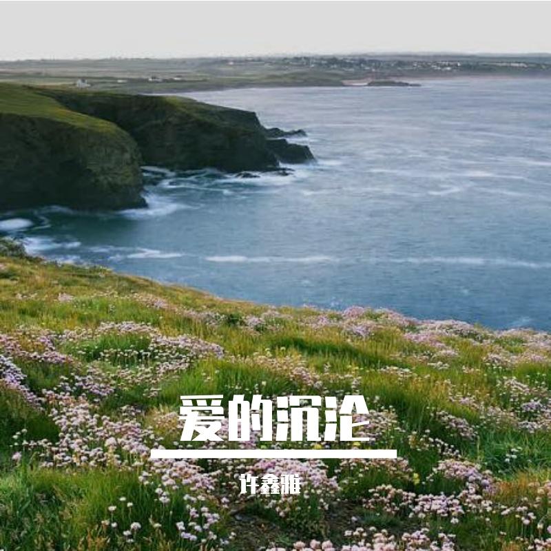 翱翔彩云之巅封面