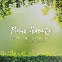 Piano Serenity: Spa Melodies