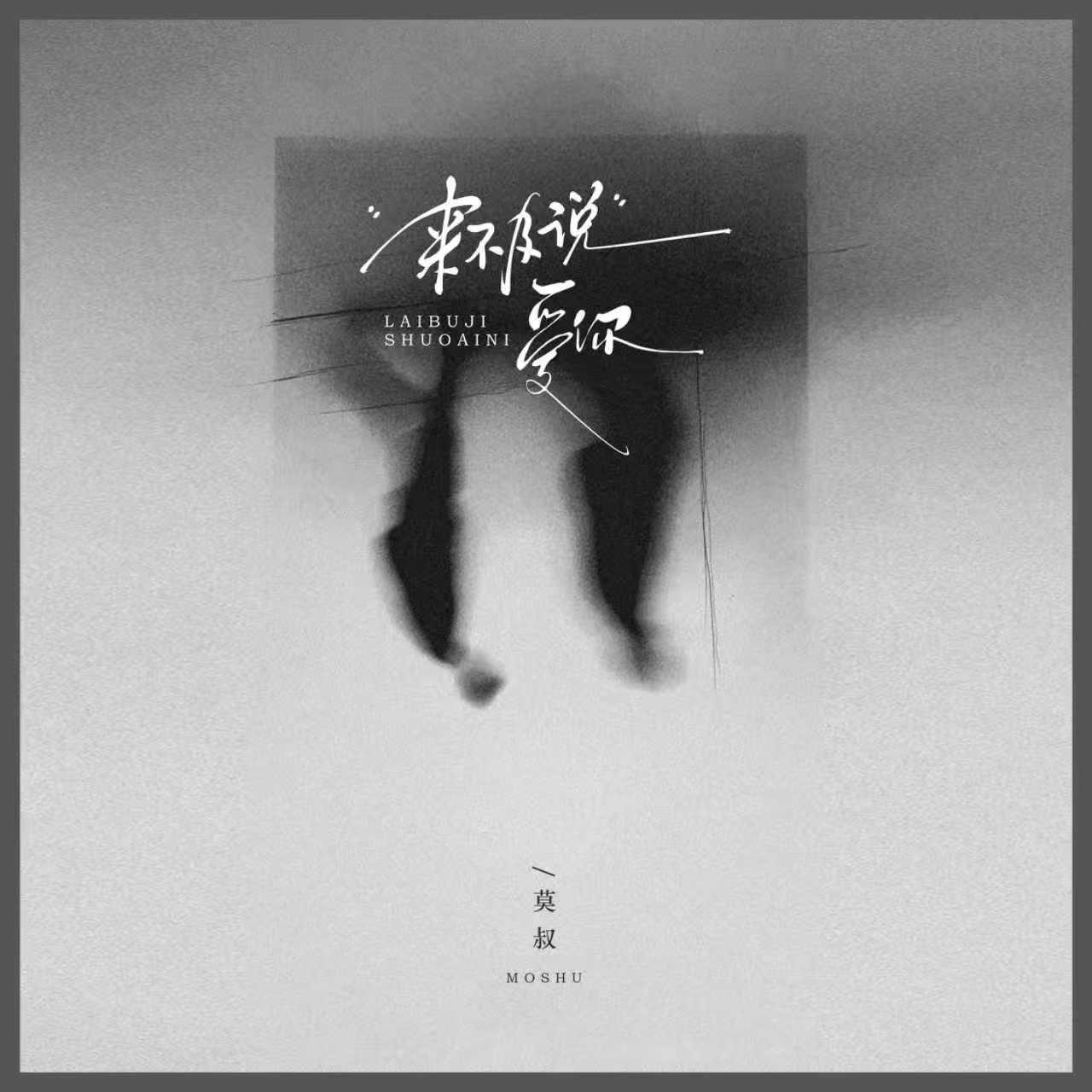 来不及说爱你封面