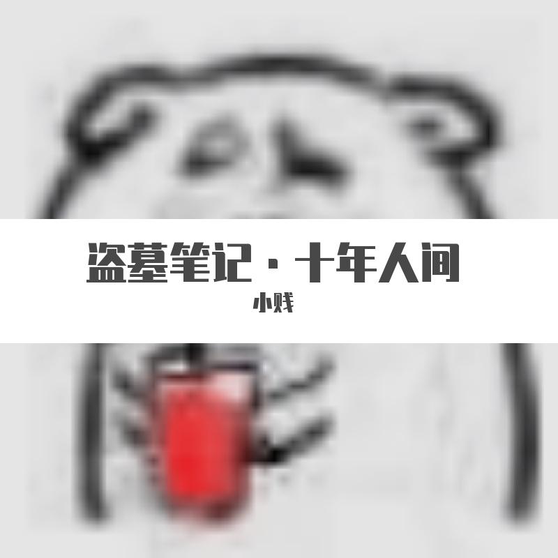 盗墓笔记·十年人间