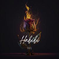 Habibi (Radio Edit)